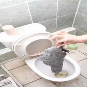 Kako očistiti stranišče pred zamašitvijo doma