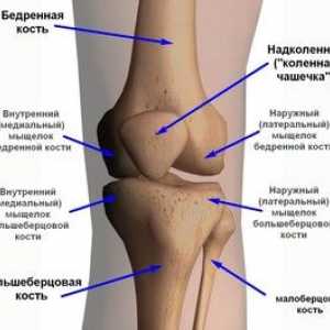 Kakšne so bolezni kolenskega sklepa: opis in imena