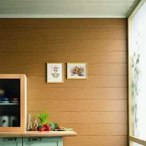 Katere stenske plošče lahko izberejo za končno steno v kuhinji?