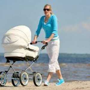 Vozički za novorojenčke: ocena najboljših sprehajalnikov 3 v 1