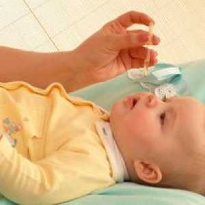 Terapevtske lastnosti Kalanchoejevega soka: vdor v nos otroka