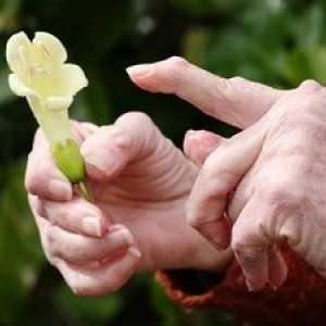 Zdravljenje revmatoidnega artritisa doma z ljudskimi pravili