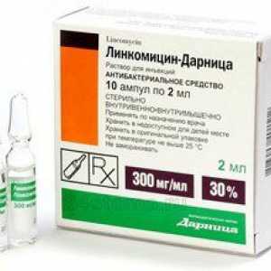 Lincomycin tablete in nyxes: navodila za uporabo v zobozdravstvu