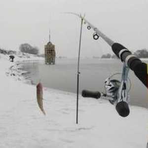Lov na napajalniku iz ledu: izbira orodja in skrivnosti ribolova v zimskem času