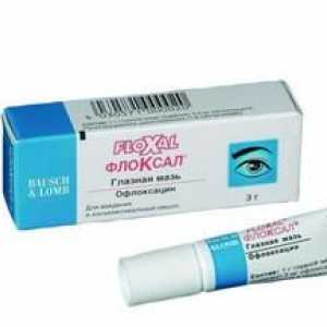 Mazilo floxal: navodila za učinkovito zdravljenje očesnih bolezni