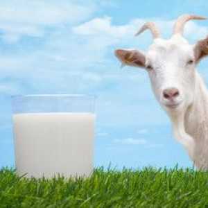Naravno kozje mleko in njegove koristne lastnosti