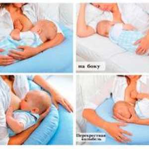 Osnovni položaji za dojenje novorojenčka