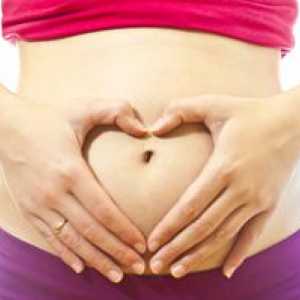 Peti teden nosečnosti: kaj se zgodi s plodom in mamo?
