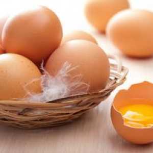 Koristne lastnosti surovega piščančjega jajca in njegove škode