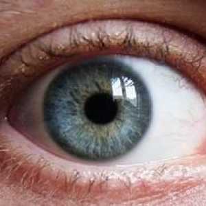 Vzroki in zdravljenje beljakovin rumenega očesa