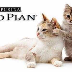 Proplan: sestava in izbor mačke iz purina