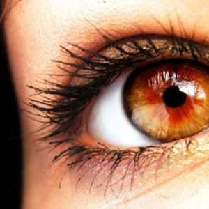 Sorte barve oči: oranžna, rdeča, črna, zelena