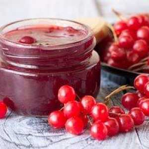 Recepti domače marmelade iz viburnuma