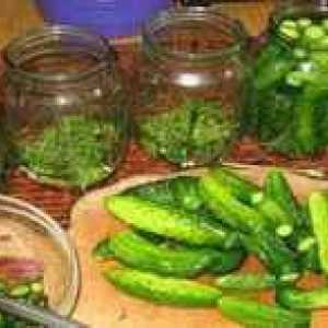 Recept za super solato kumaric za vodko za zimo