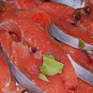 Recepti za losose v slanem lososu s čebulo