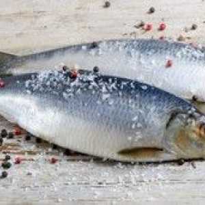 Recepti za soljenje rib doma