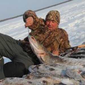 Ribolov v Nizhnevartovsk: značilnosti, napovedovanje ugriza rib