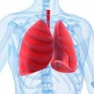 Simptomi in zdravljenje plevritja pljuč