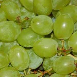 Koliko kalorij je v grozdju in kakšna je vsebnost kalorij v zelenem grozdju?