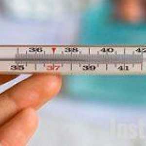 Koliko naj merim temperaturo in toploto skupaj z totalnim živosrebrovim termometrom?