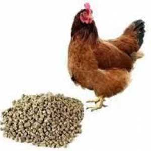 Sestava in priprava krme za kokoši