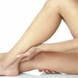 Struktura človeške noge pod kolenom