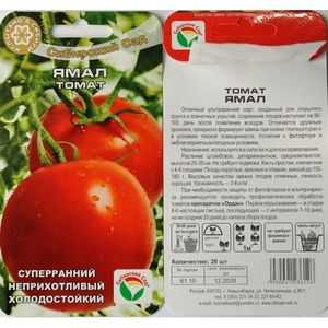 Tomato `Yamal` - značilnosti in opis sorte