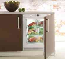 Izbira vgrajenega hladilnika: dimenzije in montaža