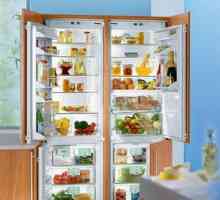 Izbira vgrajenega hladilnika: značilnosti in dimenzije modela