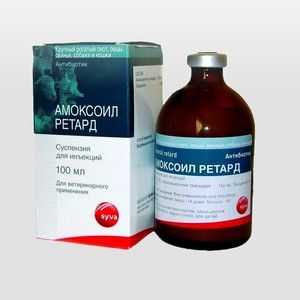 Amoksoyl retard in amoksicilin za mačke: uporaba