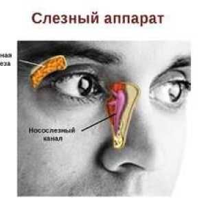 Anatomija in funkcija kanalov in nazofarinksa