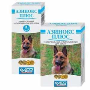 Asinox Plus za pse: navodila za uporabo