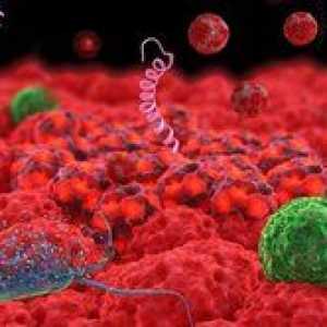 Bakteriofagi iz Staphylococcus aureus