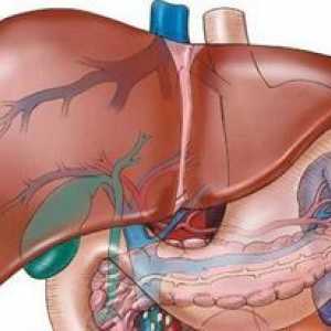 Kaj je to - hemangiom jetra in njegovo zdravljenje