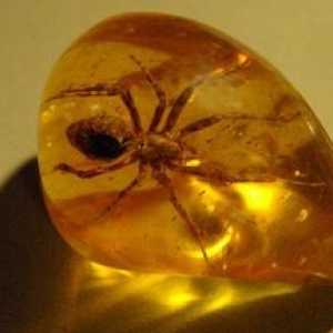 Kaj je oranžna: opis in lastnosti mineralov