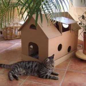 Hiša za mačke z lastnimi rokami: kako narediti