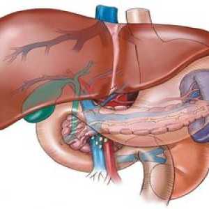 Značilni simptomi, ko se jetra poškodujejo