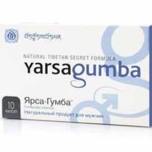 Yarsagumba: navodila, kontraindikacije in mnenja zdravnika