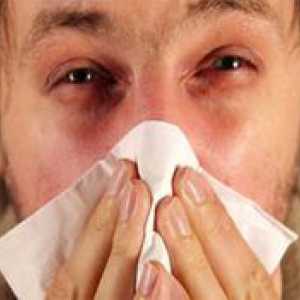 Kako zdraviti alergijski rinitis in kaj je to?