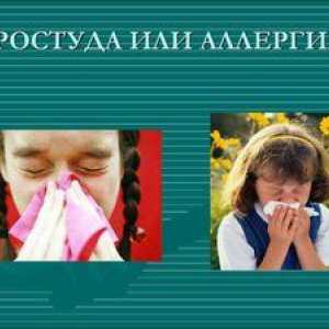 Kako razlikovati alergijo pred prehladi pri odraslih in otrocih