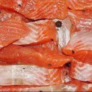 Kako solati okusno rdeče ribe? Izdelujemo slanico