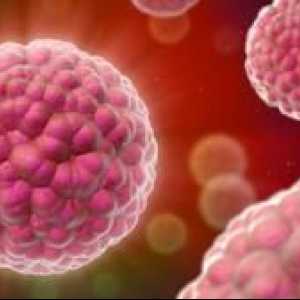 Kako prenašati HPV analizo: zdravljenje papilomavirusa pri ženskah