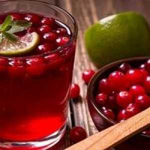 Kako narediti Morse: recepti iz sveže in zamrznjene cowberry