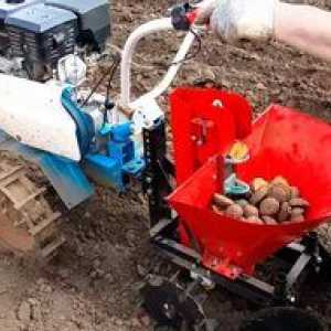 Kako saditi krompir z motornim blokom