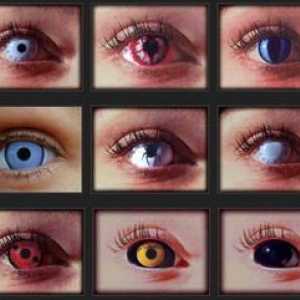 Kakšne vrste kontaktnih leč za oči?
