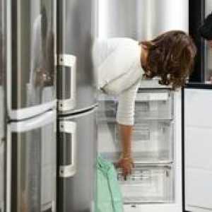 Kateri hladilnik naj kupi: nasvete za izbiro najboljše blagovne znamke