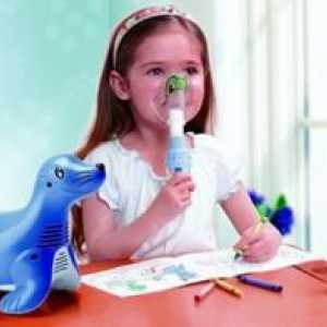 Kateri nebulizer je najboljši za otroke in odrasle: opis modelov in pregledov