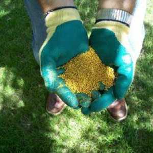 Kalijev nitrat: uporaba gnojil in njegovih lastnosti
