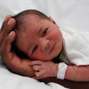 Krema za novorojenčke iz pljučnega izpuščaja: katera izbira?