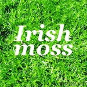 Zdravilne lastnosti irskega maha, receptov in pregledov